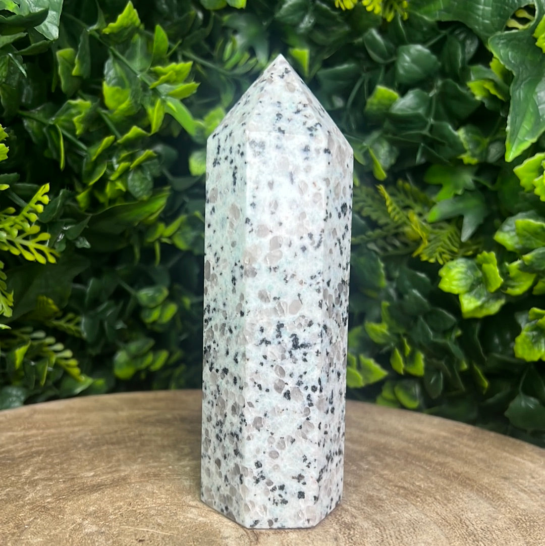Kiwi Jasper Tower