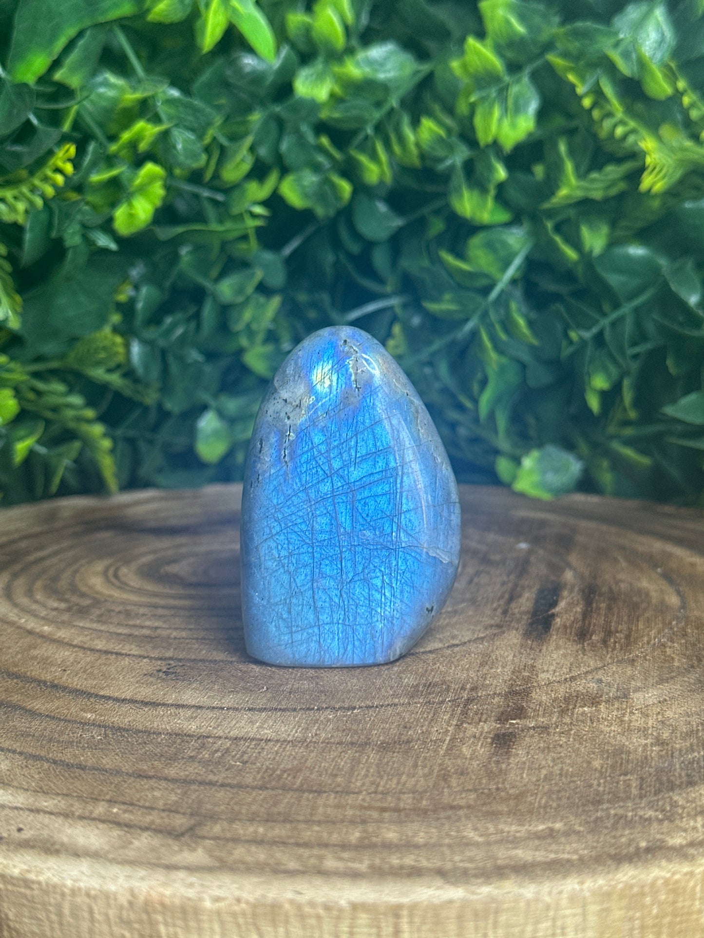 Labradorite Freeform (3)