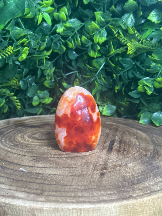 Carnelian Freeform (2)
