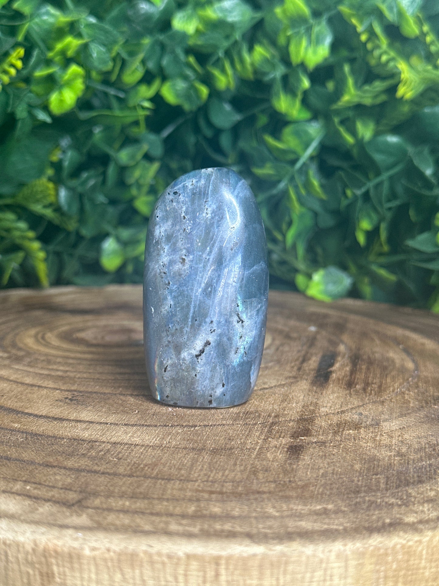 Labradorite Freeform (2)