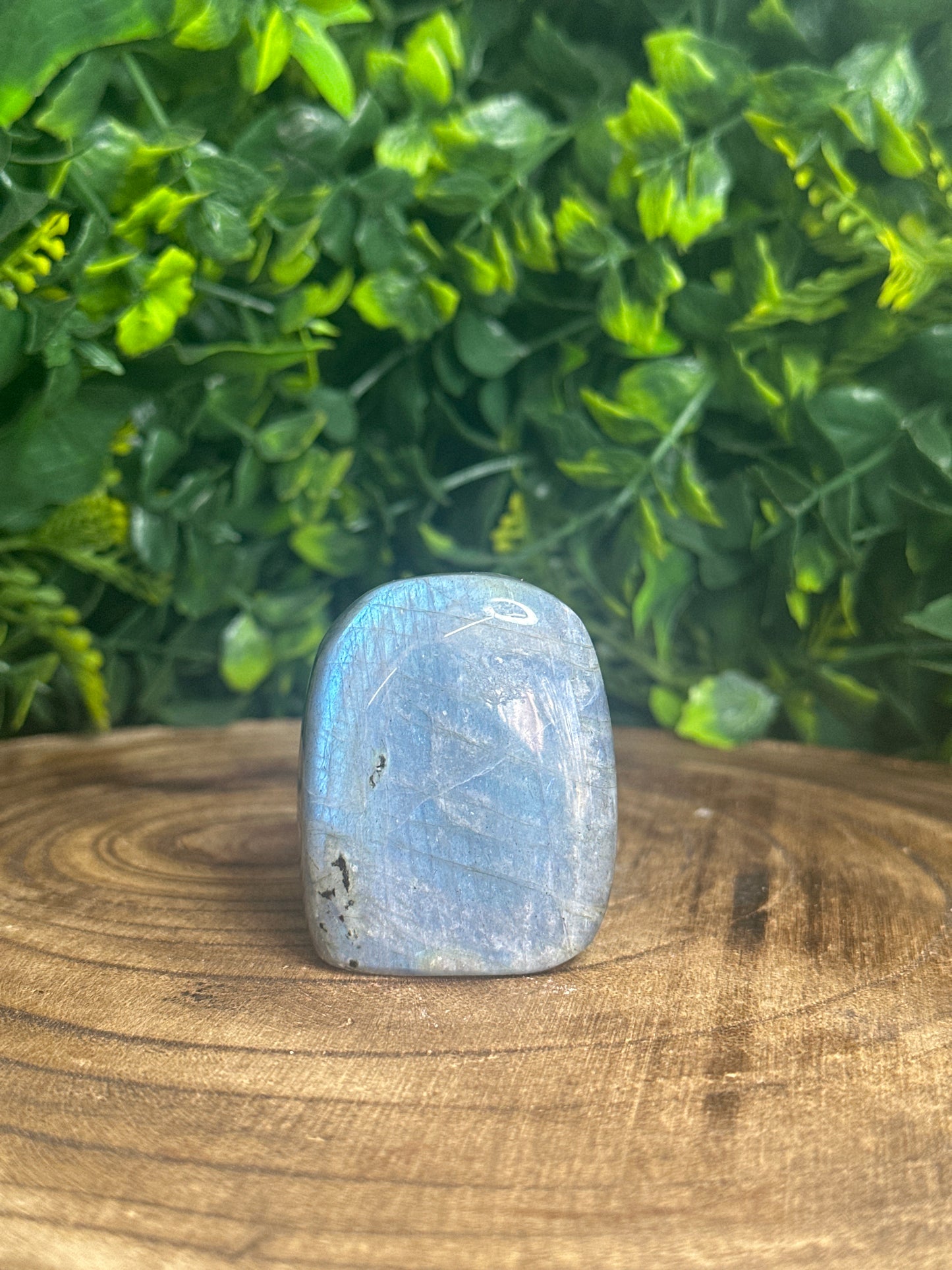 Labradorite Freeform (1)