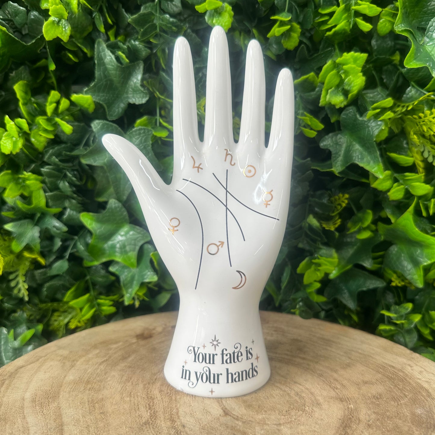 Palmistry Hand