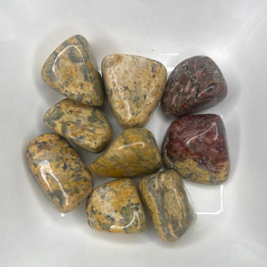 Leopardskin Jasper Tumble