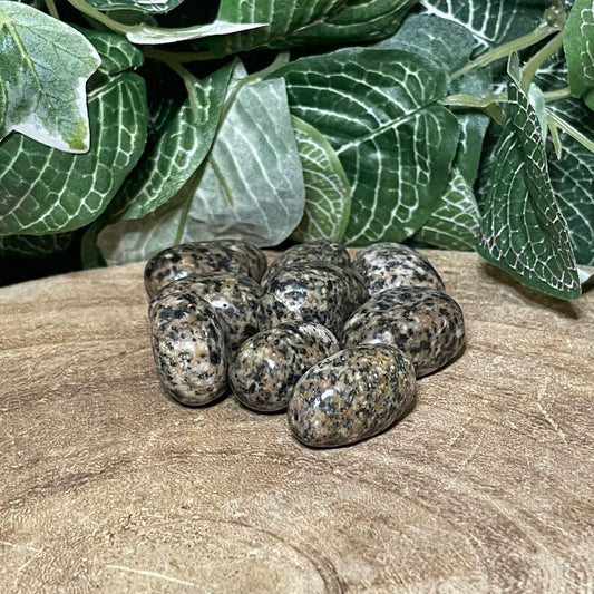 Sesame Jasper Tumblestones