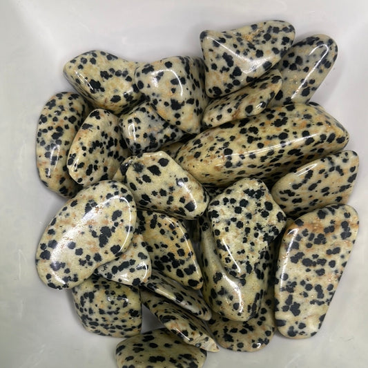 Dalmatian Jasper Tumble